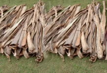 Membingkai Kearifan Lokal Menjadi Kekuatan Global – Kisah Inspiratif Novita Hermawan dan Agrominafiber